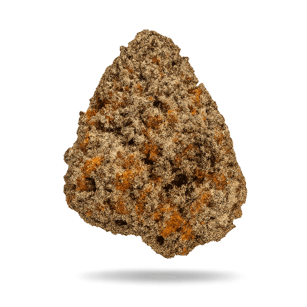 Bathera 24/1 PM Permanent Marker